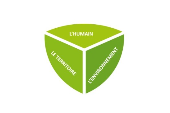 Mise en place de notre démarche RSE (Responsabilité Sociétale des Entreprises)