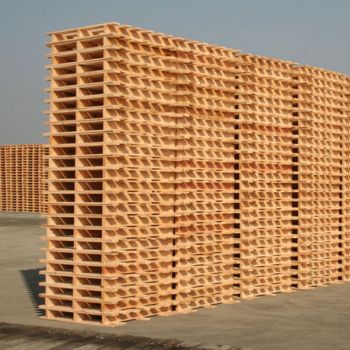 Palettes 2 & 4 entrées